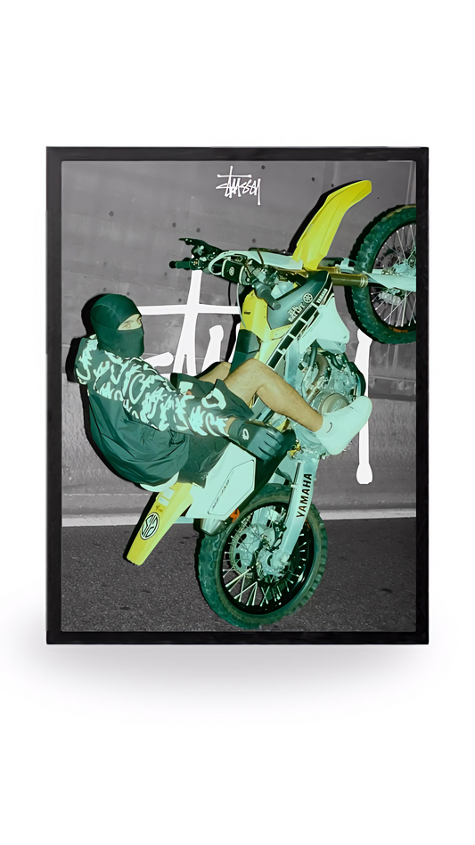 Stussy Bike